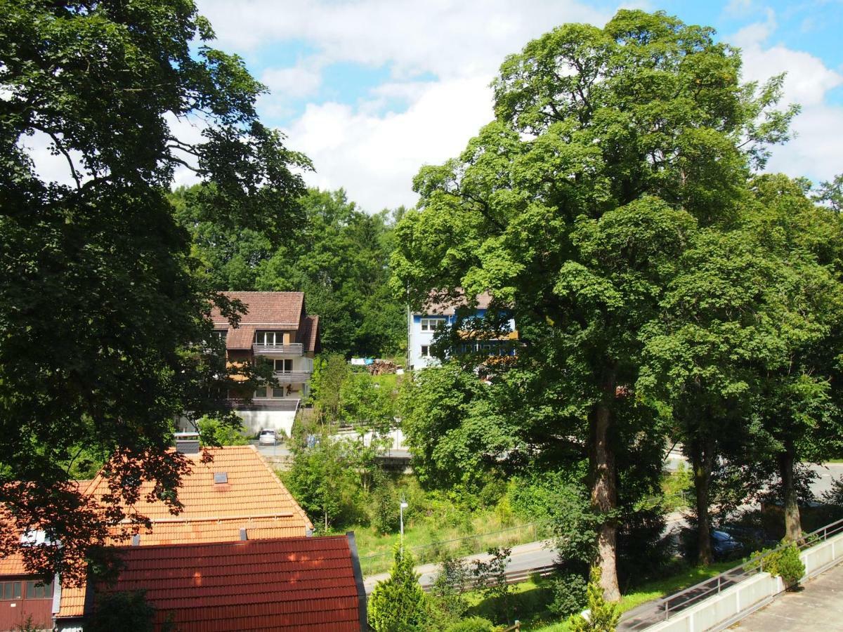 Apartment Harzgruen 2 Sankt Andreasberg Exterior foto