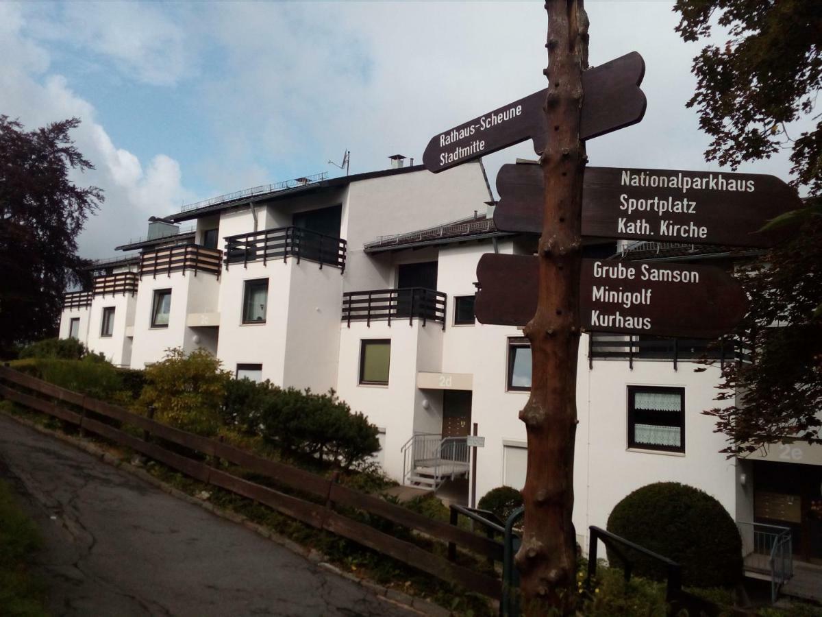 Apartment Harzgruen 2 Sankt Andreasberg Exterior foto